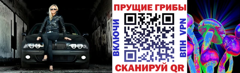 Псилоцибиновые грибы прущие грибы  кракен вход  Ипатово 